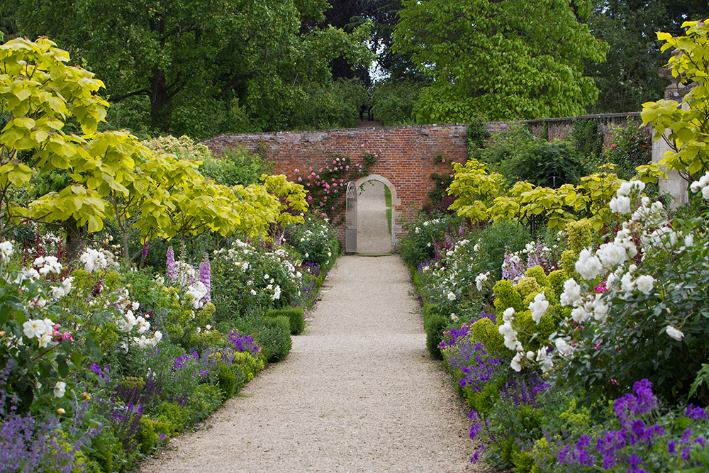 Pretty walled garden